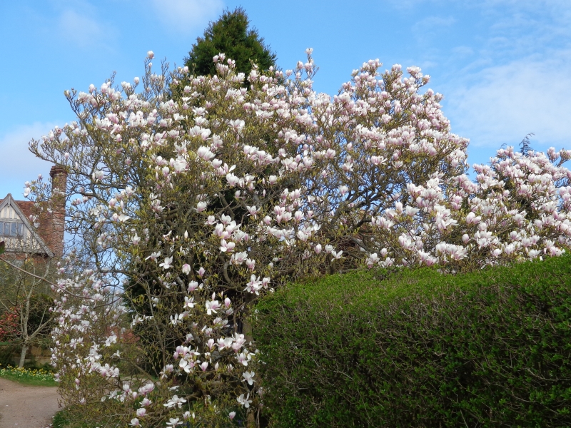 Goddards Green